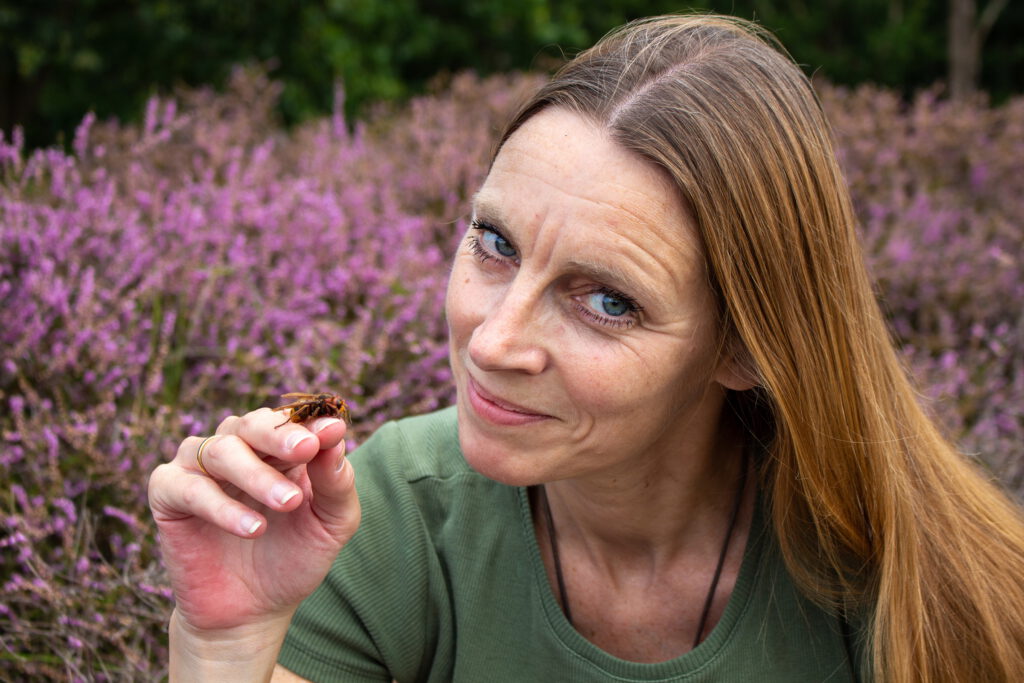 Insecten in de hoofdrol tijdens bijzondere lezing in Museum BroekerVeiling Broek op Langedijk